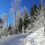 Kanis 80 Schnepfau